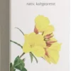 Nachtkerzenöl 100 ml