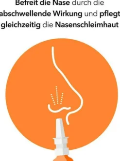 NasenDuo Nasenspray Kinder 10 ml