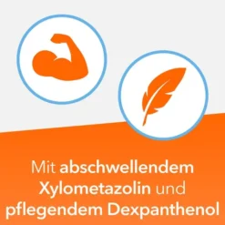 NasenDuo Nasenspray 2 x 10 ml