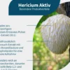 NatuGena Hericium Aktiv 90 Kapseln