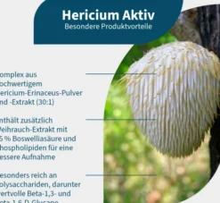 NatuGena Hericium Aktiv 90 Kapseln