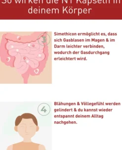 N1 Blähungen & Völlegefühl Kapseln 30 Stück