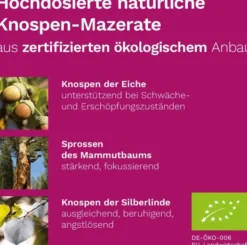 Nerven Plus Dr.Koll Gemmo Komplex Vitamin B12 B6 Tropfen 50 ml