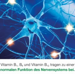 Neurologes Concept 60 Kapseln