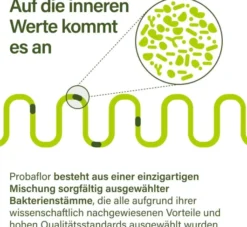 Nupure Probaflor Probiotika zur Darmsanierung 60 Kapseln