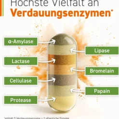 Omniflora Enzym Complex Mit Bacillus Coagulans 90 Kapseln