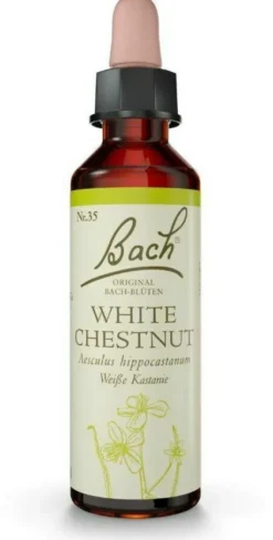 Original Bach-Blüte White Chestnut Tropfen 10 ml