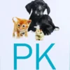 Pk Für Tiere Flüssig