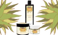 Plantana Aloe Vera Körpercreme 500 ml