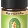 Primavera Riesentanne Ätherisches Öl Bio 5 ml