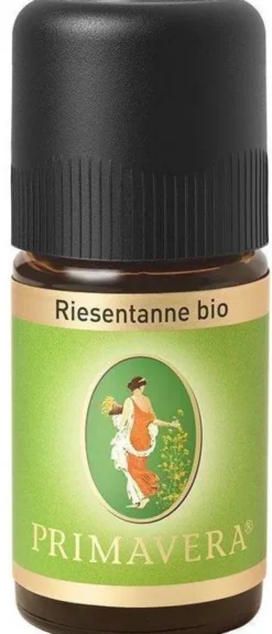Primavera Riesentanne Ätherisches Öl Bio 5 ml