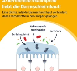 Probio-Cult AKK1 Darm-Mukosa Pro 30 Tabletten