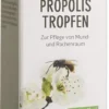 Propolis Tropfen Ohne Alkohol 20 ml Tropfen