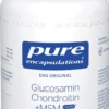 Pure Encapsulations Glucosamin+chondroitin+msm 60 Kapseln