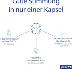 Pure Encapsulations Mood Formel 30 Kapseln