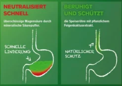 Refluthin Kautabletten Minzgeschmack 48 Stück