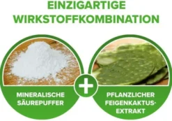 Refluthin Kautabletten Minzgeschmack 48 Stück
