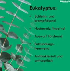 Remlofect Halspastillen Zuckerfrei Eukalyptusfrisch 50 g Pastillen