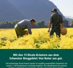 Ricola Ohne Zucker Lakritz 75 G Bonbons