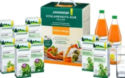 Schlankheits-Kur Möhre-Mango
