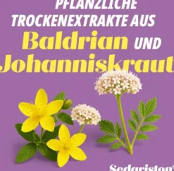 Sedariston Konzentrat 100 Kapseln