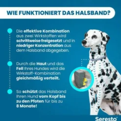 Seresto Halsband für große Hunde 1 Stück