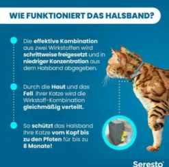 Seresto Halsband für Katzen 1 Stück