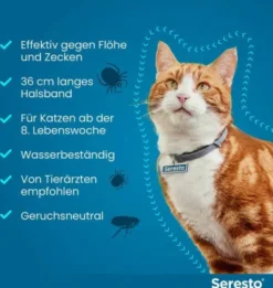 Seresto Halsband für Katzen 1 Stück