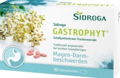 Sidroga Gastrophyt 250 mg 30 Filmtabletten