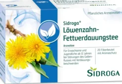 Sidroga Löwenzahn 20 Filterbeutel