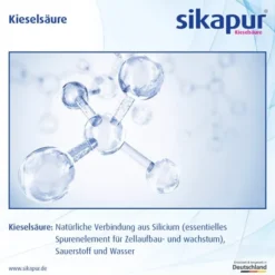 Sikapur Kieselsäure Gel-Sticks Rote Beeren 30 Stück