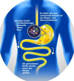 Silicol Gel Gegen Magen Darm Erkrankungen 500 ml Gel