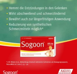 Sogoon Teufelskralle 100 Filmtabletten