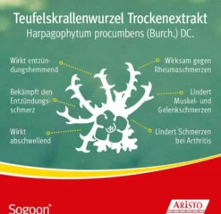 Sogoon Teufelskralle 100 Filmtabletten