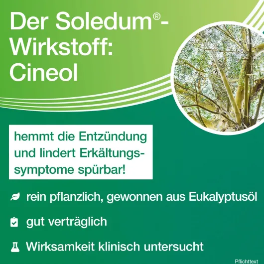 Soledum Balsam flüssig 20 ml