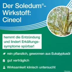 Soledum Kapseln forte 100 magensaftresistente Kapseln