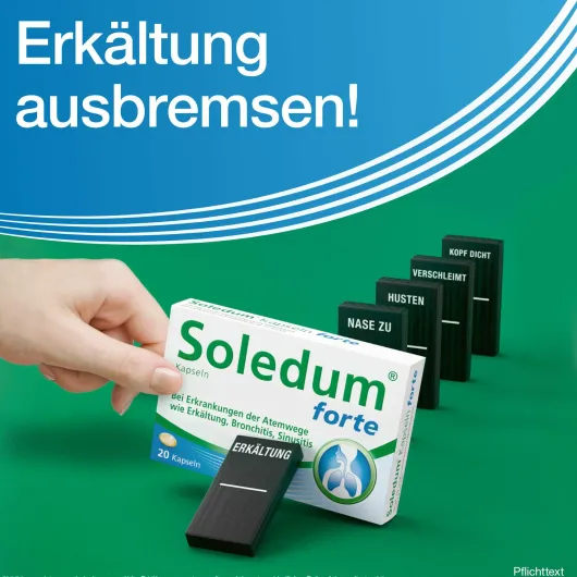 Soledum Kapseln forte 100 magensaftresistente Kapseln