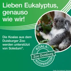 Soledum 100 magensaftresistente Kapseln