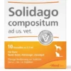 Solidago Compositum 10 Ampullen vet.