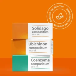 Solidago Compositum 10 Ampullen vet.