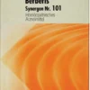 Synergon 101 Berberis Tabletten 200 Tabletten