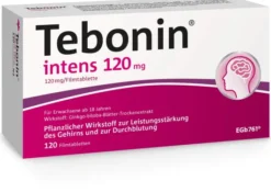Tebonin intens 120 mg 120 Filmtabletten