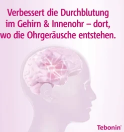 Tebonin intens 120 mg 120 Filmtabletten