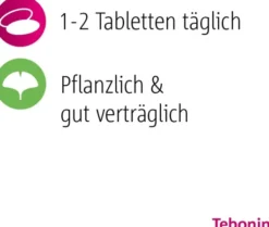 Tebonin intens 120 mg 120 Filmtabletten