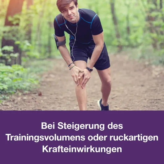 Tendologes Für Sehnen und Bänder 45 Sticks