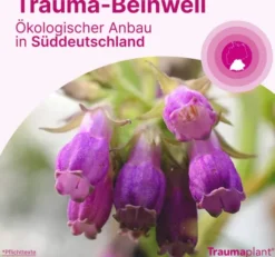 Traumaplant Schmerzcreme 50 g