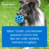 Traumeel Lt vet. 50 X 5 ml Ampullen