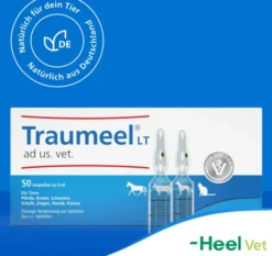 Traumeel Lt vet. 50 X 5 ml Ampullen