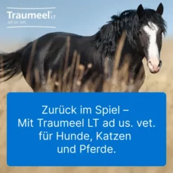 Traumeel Lt vet. 50 X 5 ml Ampullen