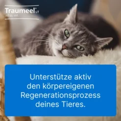 Traumeel Lt vet. 50 X 5 ml Ampullen